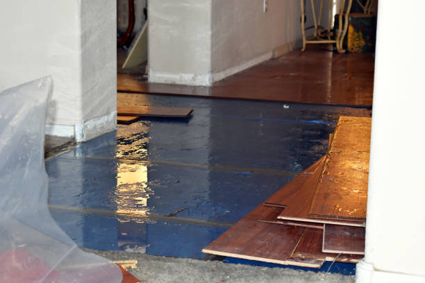Professional Structural Drying technician working in Flagtown, NJ